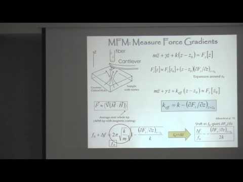 SPICE Young Leaders Workshop - Ophir Auslaender - Local characterization of iron-pnictide