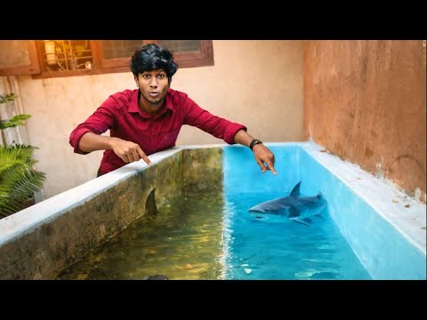 We Transformed Our Monster Shark Tank in One Day 🦈🔥/JENISH KJ