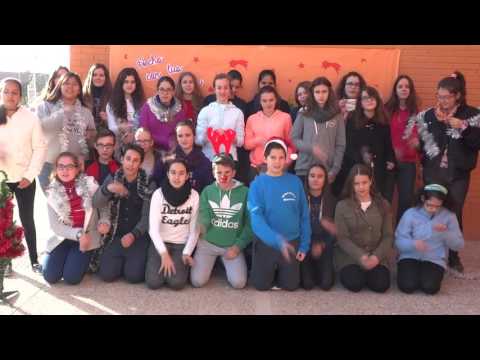 Vídeo Instituto Domingo Valdivieso