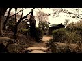 【Baauer―Floreana MV】JAPAN🍣 日本座敷わらし。