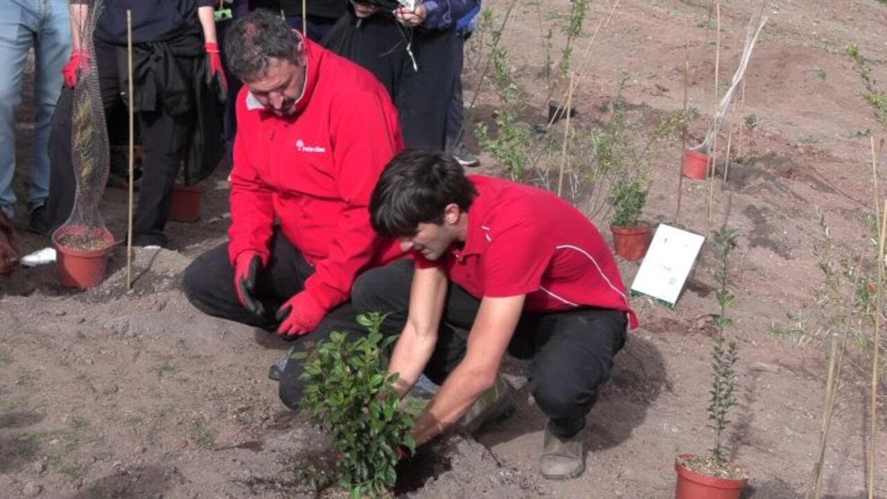 TIM pianta 400 nuovi alberi a Roma per contribuire al miglioramento urbano
