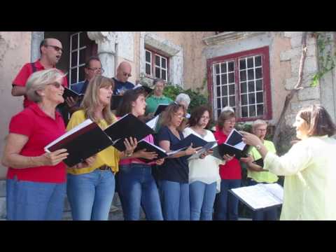 Composição: "CANÇÃO DA VINDIMA" (Coro de Câmara de Cascais)