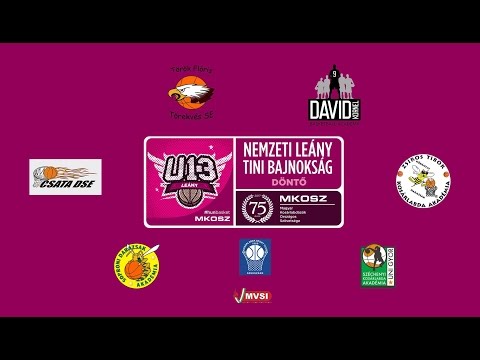 Széchenyi KA - Csata DSE