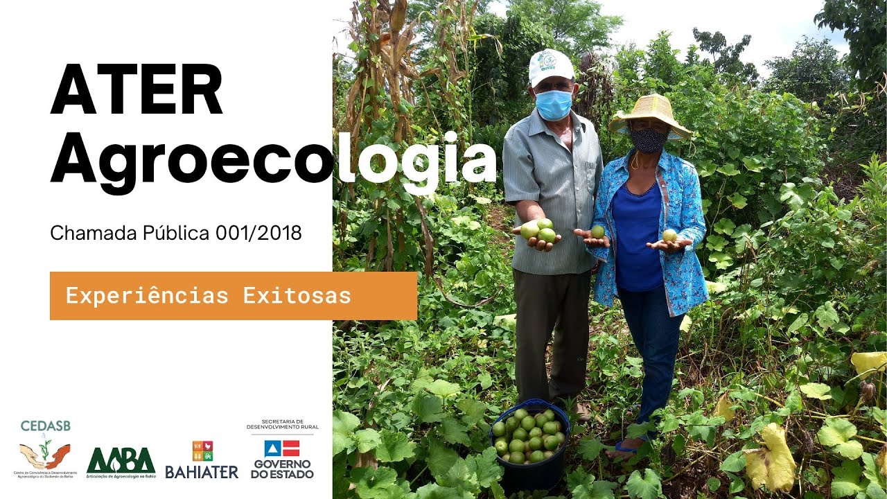Experiências Exitosas da ATER Agroecológica executada pelo Cedasb.