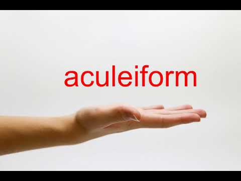 How to Pronounce aculeiform - American English