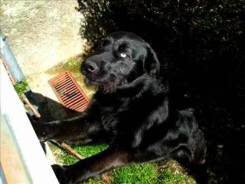 Nuestro Sultan I (L Neila