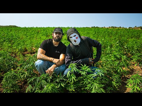 I Infiltrated Morocco's Most Dangerous Underground Business