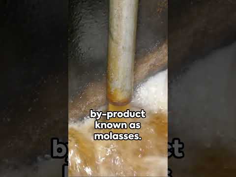 How Rum is Made