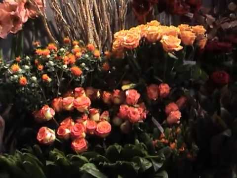 Vse  najlepse rozice