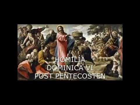 DOMINICA VI POST PENTECOSTEN. 12.VII.2020. Mons. Alberto José González Chaves