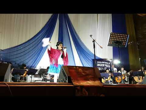 VIII Concurso de Estudiantinas 2017 Rosendo Huirse Muñoz - E.P. Ingeniería Geológica