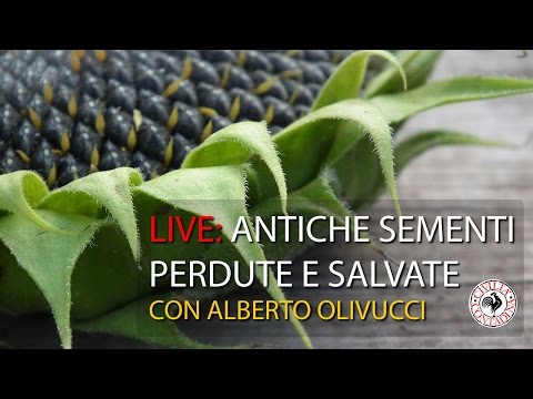 , title : 'Live - Antiche Sementi Perdute e Salvate [con Alberto Olivucci]'