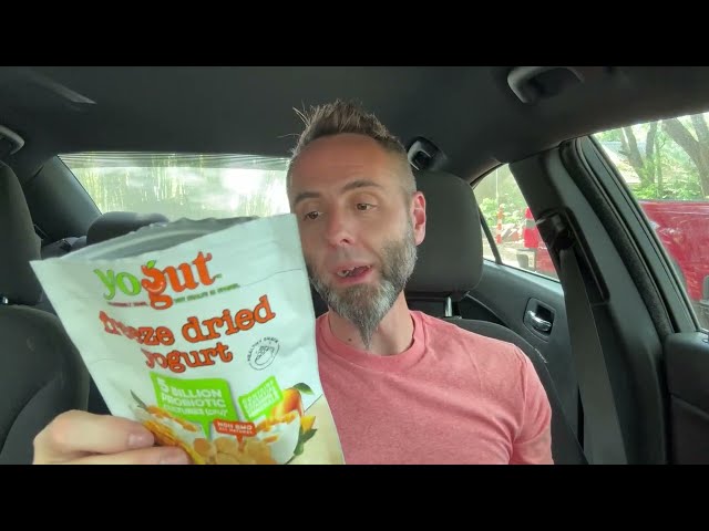 Best Mango Flavored Yogurt Snacks Review - alternate angle