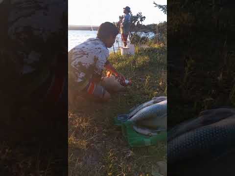 Curimba gigante em Morada Nova de minas. Pousada do Renato