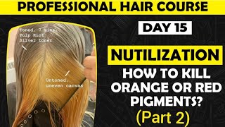 How to kill Orange / Yellow pigment ? How to make Nutrilizing Shampoo ?