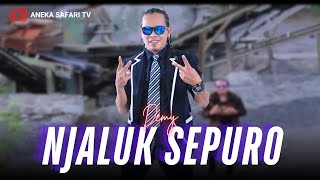 Download lagu Karaoke - Njaluk Sepuro - Demy ( Video Karaoke ANEKA SAFARI) mp3 Download lagu Karaoke - Njaluk Sepuro - Demy ( Video Karaoke ANEKA SAFARI) mp3
