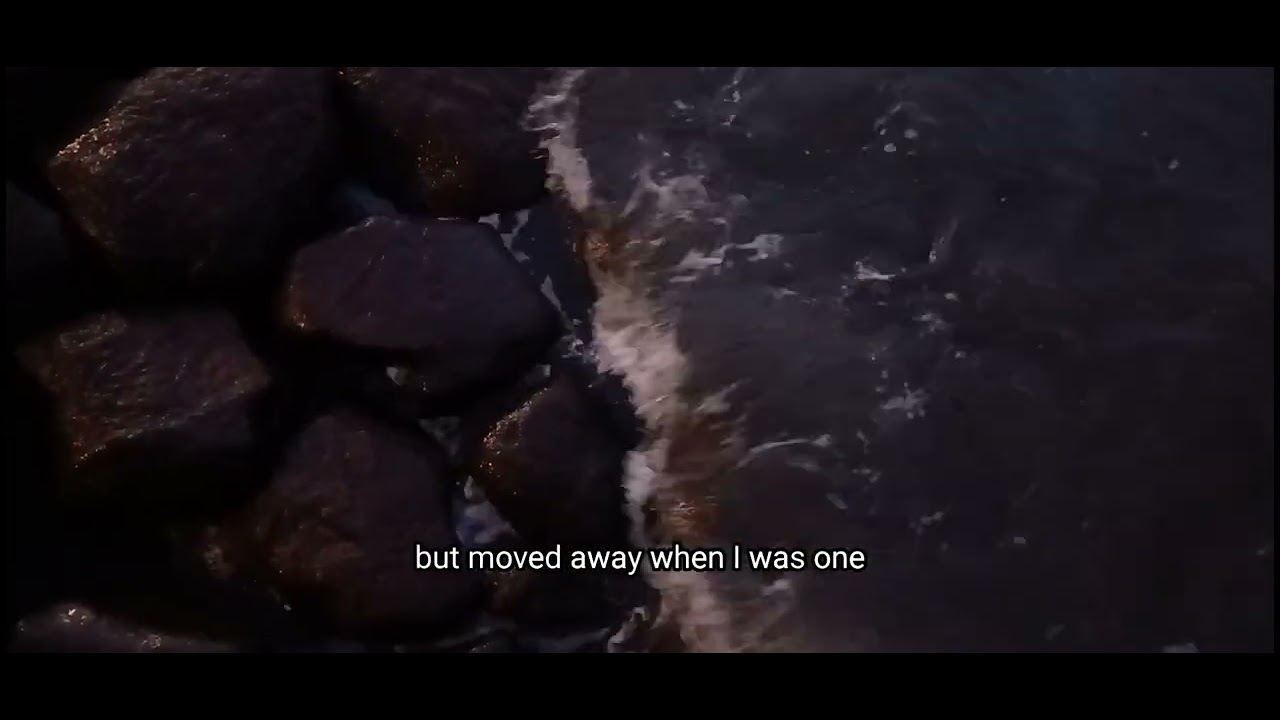 Screening of my video essay "When the Water Stops Flowing" on January 3rd, 2026