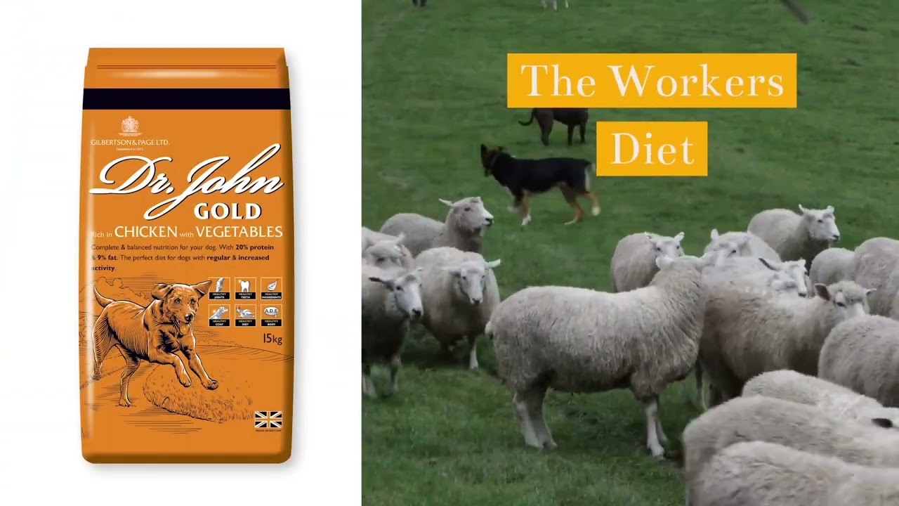 Watch video About Us Now About Us