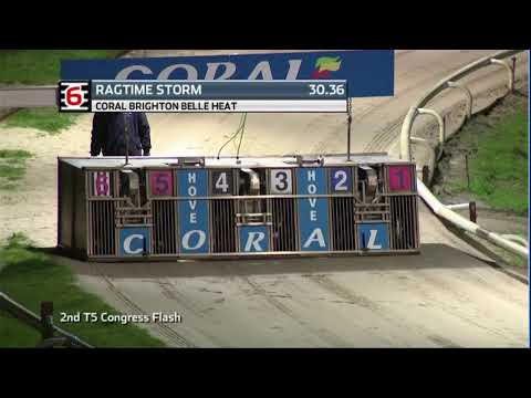 2020 CORAL BRIGHTON BELLE - HEAT 2 - T6 RAGTIME STORM