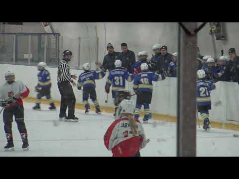 -08/E1 AA RNK Sininen - koilis-pirkan kiekko 2020.01.04