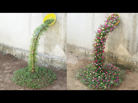 , title : 'Beautiful Portulaca (Mossrose) planting waterfall garden ideas for small gardens'