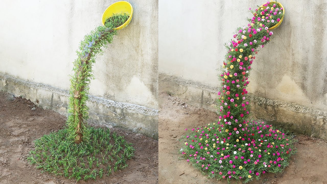 Beautiful Portulaca (Mossrose) planting waterfall garden ideas for small gardens