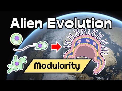 Alien Biosphere Evolution #6: Size and the Modularity of Life