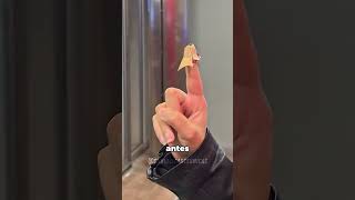 Nunca mais toque em botões direto 😲 #curiosidades #fatoscuriosos #shorts