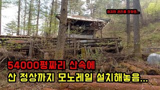 54,000평 산속에 산 정상까지 갈 수 있는 모노레일 설치해놨지만..관리가 쉽지 않네요..산마늘, 산양삼이…