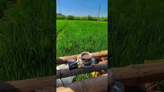 Download lagu Yang lagi viral ngopi dipinggir sawah #shortsvidio #fypyoutube mp3