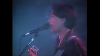 Beyond Wong Ka Kui - 喜歡妳 (1989真的見証演唱會live) 清晰