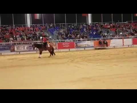 Gina Schumacher auf Gotta Nifty Gun - AMERICANA 2017