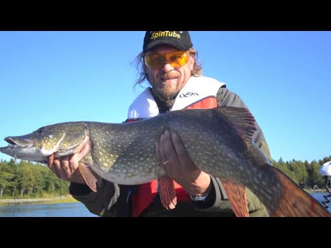 Suurhauen väsytys - Iha rauhas vaa - Hauenkalastus - Spintube - Eumer