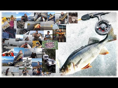 MUUTOSTEN TUULET PUHALTAA - JÄITÄ ODOTELLESSA