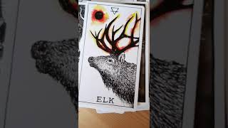 Download Lagu the wild unknown animal spirit cards by Kim Krans Thumbnail