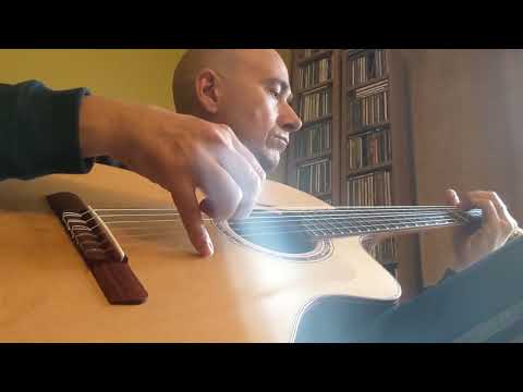 Dowina Power! Hybrid Nylon Acoustic Guitar Demo - 'Home'.