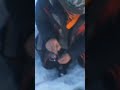 Video Thumbnail for #Hashtag Biggest Walleye Ice Fishing.(Lake Of The Prairies)