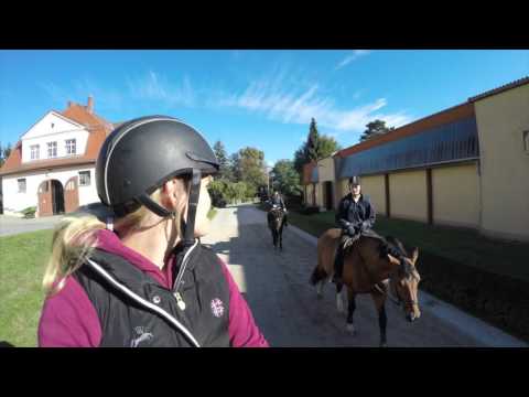 Trainerlehrgang Moritzburg Oct '15