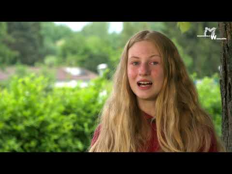 Waldhorn lernen an der Musikschule Wieselburg