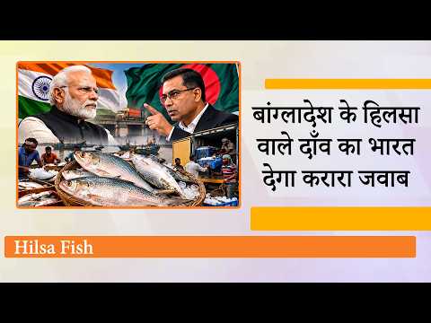 Modi के Gujarat की Hilsa Fish के आयात पर Dhaka ने लगा दी रोक, India-Bangladesh रिश्तों में नई टेंशन Modi के Gujarat की Hilsa Fish के आयात पर Dhaka ने लगा दी रोक, India-Bangladesh रिश्तों में नई टेंशन