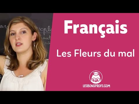 Les Fleurs du mal, Baudelaire - Français - 1ère - Les Bons Profs