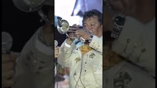 Cuando los  músicos le robaron el show a Juan Gabriel #juangabriel #trompeta #musicos