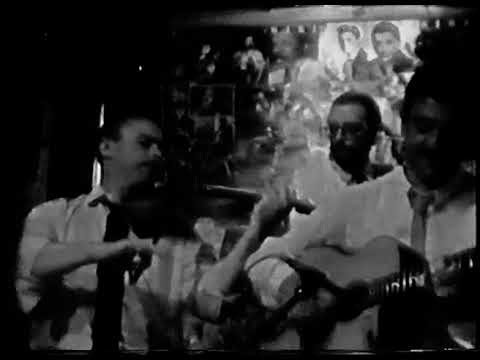 Fapy Lafertin and Le Jazz at The Albert Inn Bristol