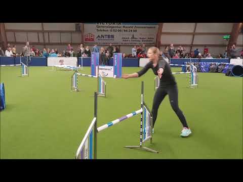 Nice Nayla -  Agility German Classics 2017