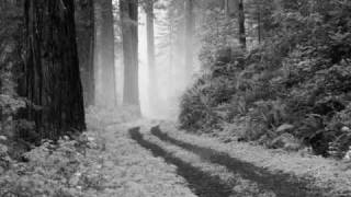 laura branigan- fool's affair