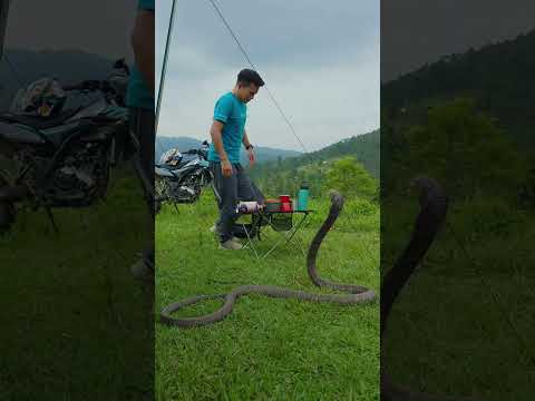 The snake ran away scared of the man 😱
