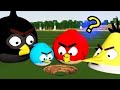 REALLY Angry Birds In MINECRAFT Reuploaded
