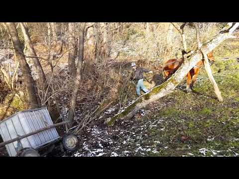 Amazing 1 horse 🐎 power, Mona edition. Viata la Vidra / Varfurile