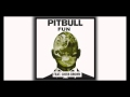 Pitbull feat Chris Brown - Fun (Karaoke ...