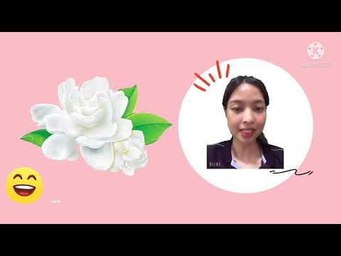 English class online • Jasmine is the flower for mom •
